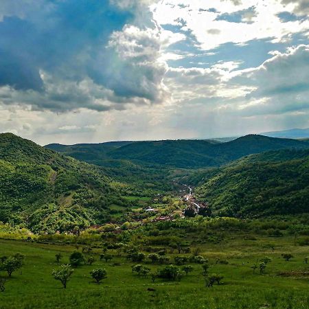 Вилла The Hunter House Ciudanovita Экстерьер фото