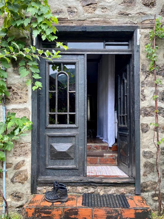 Вилла The Hunter House Ciudanovita Экстерьер фото