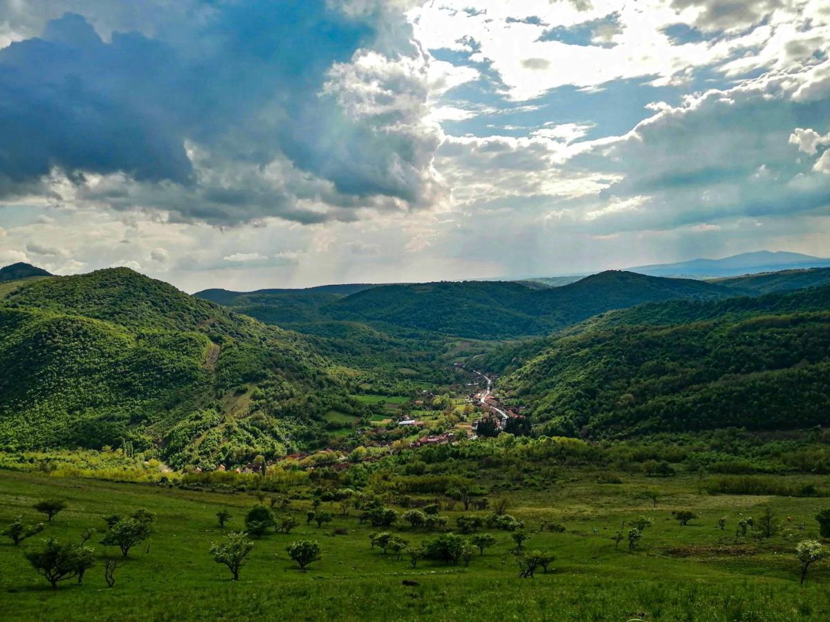 Вилла The Hunter House Ciudanovita Экстерьер фото