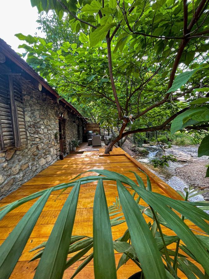 Вилла The Hunter House Ciudanovita Экстерьер фото
