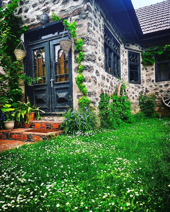 Вилла The Hunter House Ciudanovita Экстерьер фото